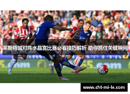 莱斯特城对阵水晶宫比赛必看技巧解析 助你抓住关键瞬间